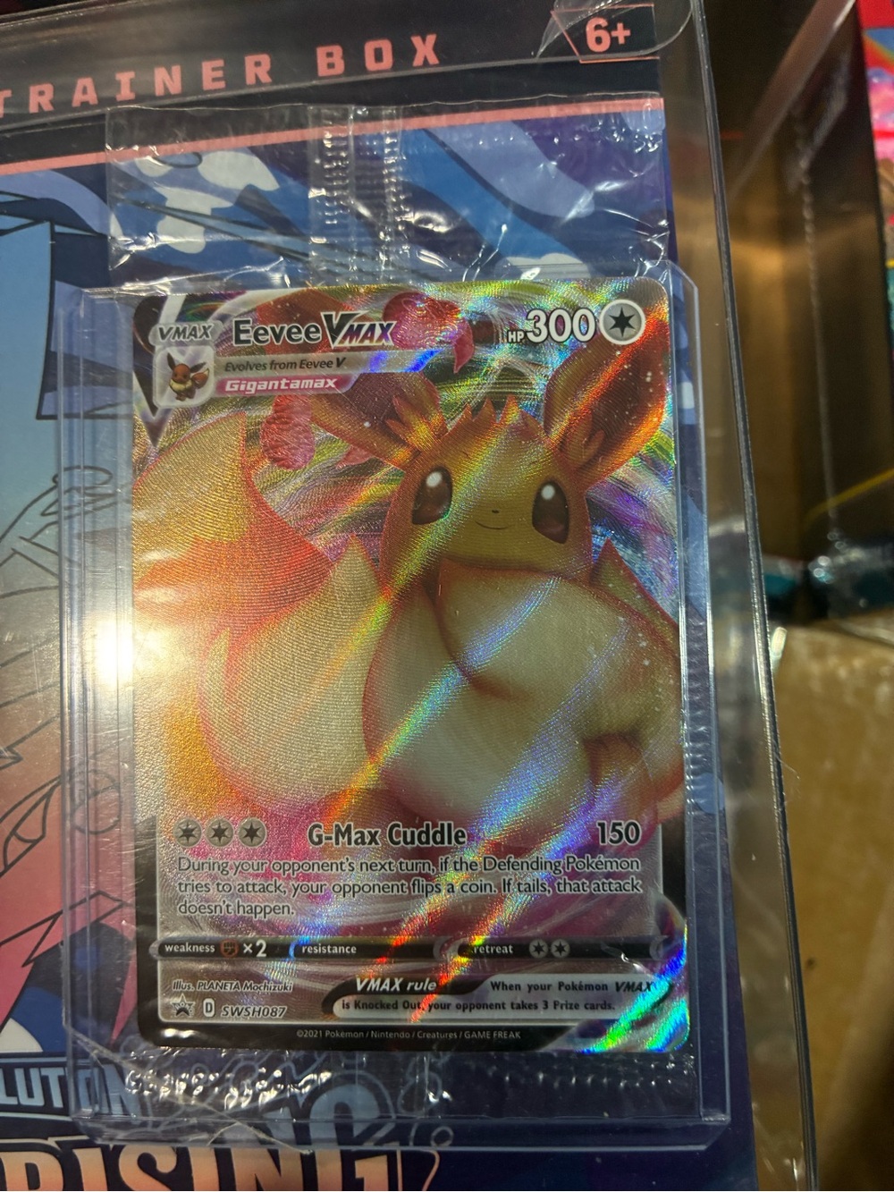 Eevee VMAX Holographic Trainer Card - Multicolor